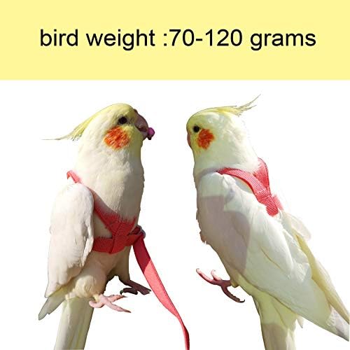 Ванфавори Прилагодлив Ремен За Птици со Поводник од 80 Инчи, Комплет За Јаже За Обука За Летање На Отворено За Папагали Со Големина