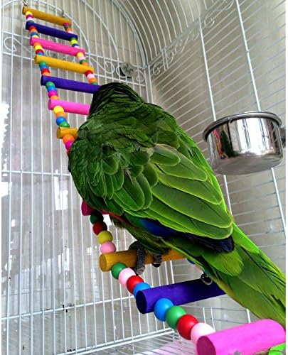 JJ продавница Дрвена 70 см папагал мост за миленичиња Птичници со куки