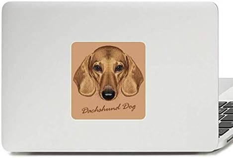Браун кратки нозе Dachshund Dog Animal Decal Decal Vinyl Paster Laptop налепница за компјутер