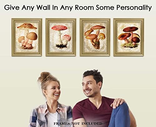 Печурка гроздобер ботаничка илустрација постер, уметност од печурки, декор на печурки, wallидна уметност од печурки, постери за постери