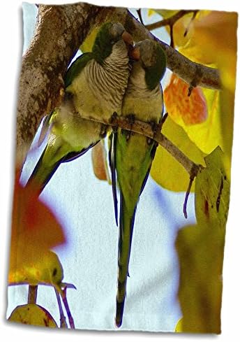 Птици од флорен од 3drose - Parakeet Love Birds in Seagrape Tree - крпи
