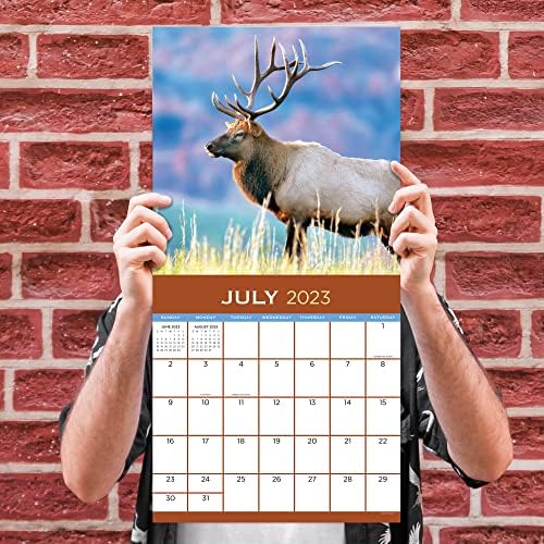 TF Publishing Deer 2023 Wallиден календар 12 месеци | Премиум 2023 календарски wallид | Голем wallиден календар 2023 месечно |