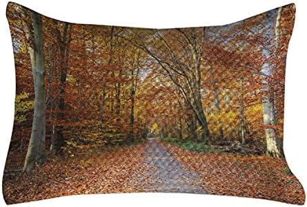 Ambesonne Fall Quilted Pemlowcover, патека покриени паднати лисја низ есенски шума живописни дрвја печатење, стандарден капакот на перница